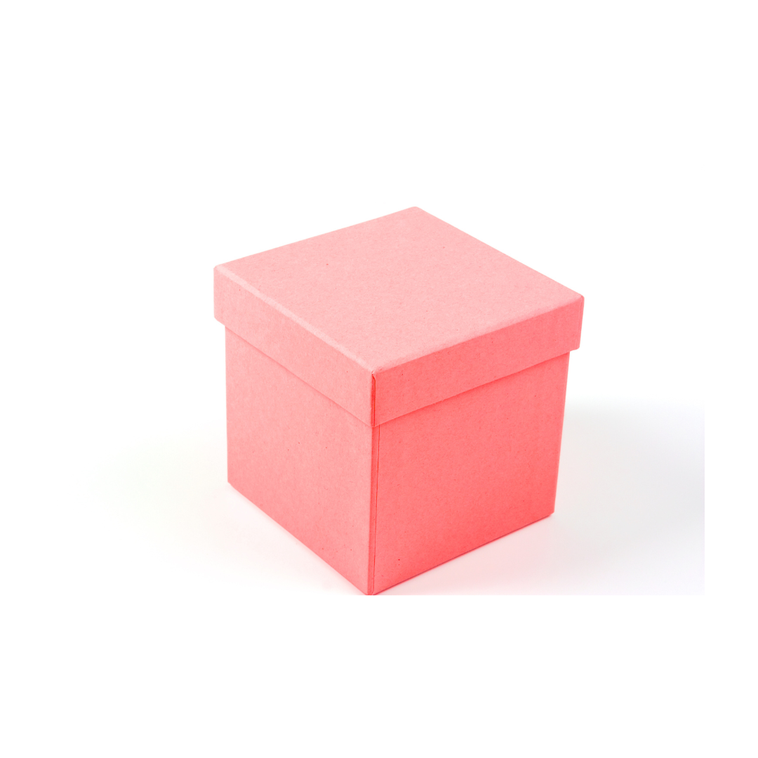 Vaginale Probiotica Capsules